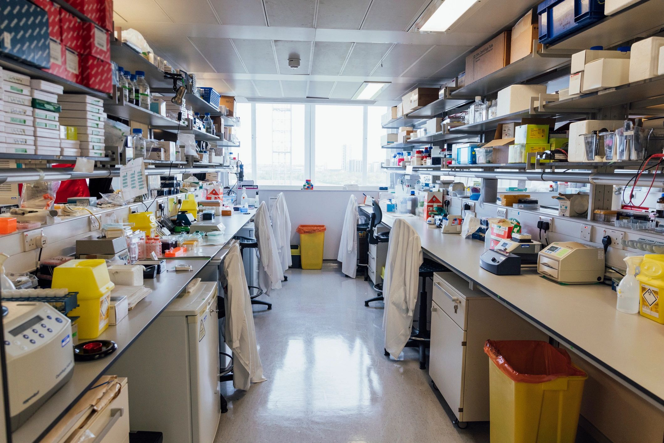Modern biotech laboratory interior